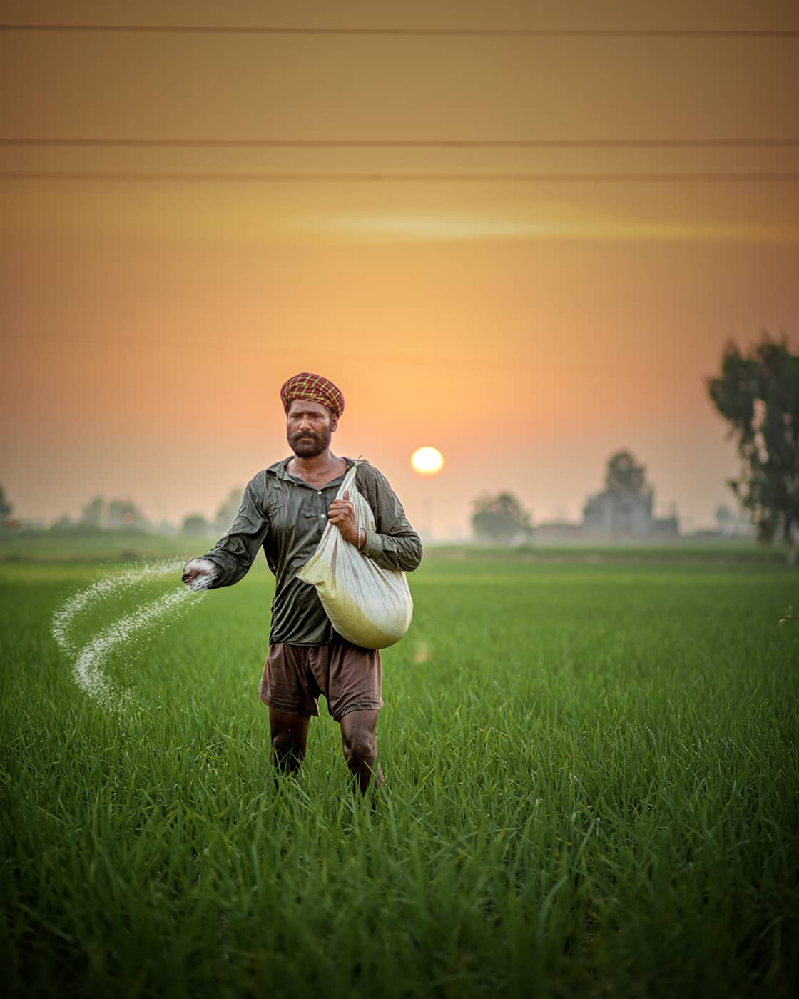 Om Karoon Basmatiris